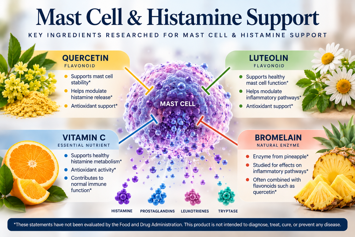 MCAS Supplements: Ingredients Commonly Used for Mast Cell & Histamine Support
