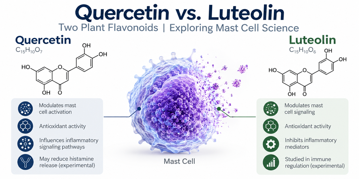 Quercetin vs. Luteolin: Understanding Two Plant Flavonoids and Mast Cell Health